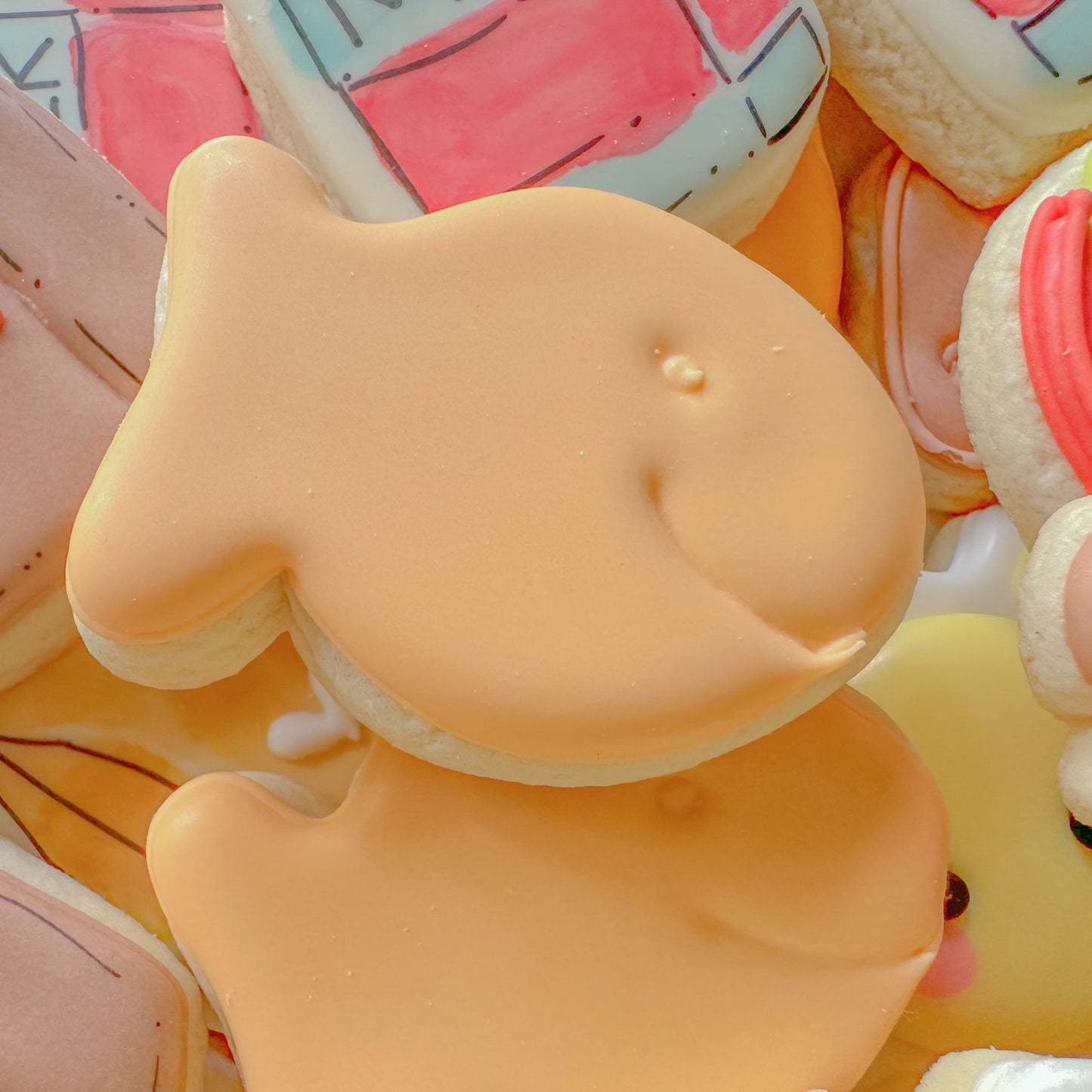 Back to School, Mini Cookie 5 Pack