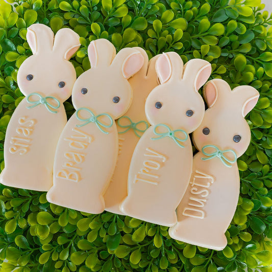 Tall Boy Bunny, Personalized, Individual Cookie